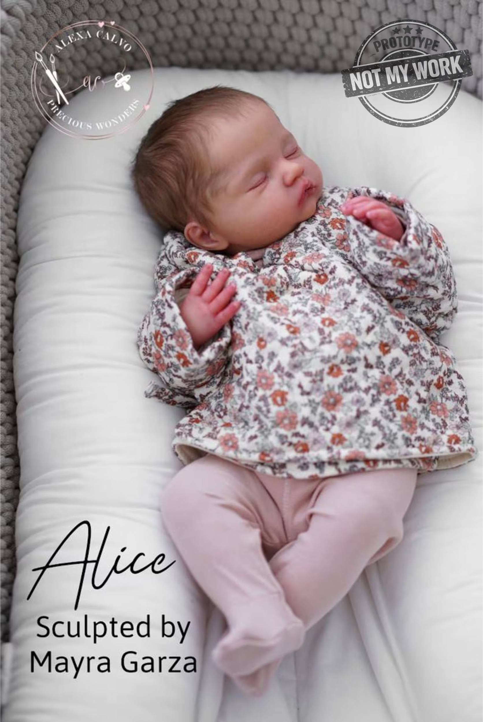 Alice de Mayra Garza - Imagen 4