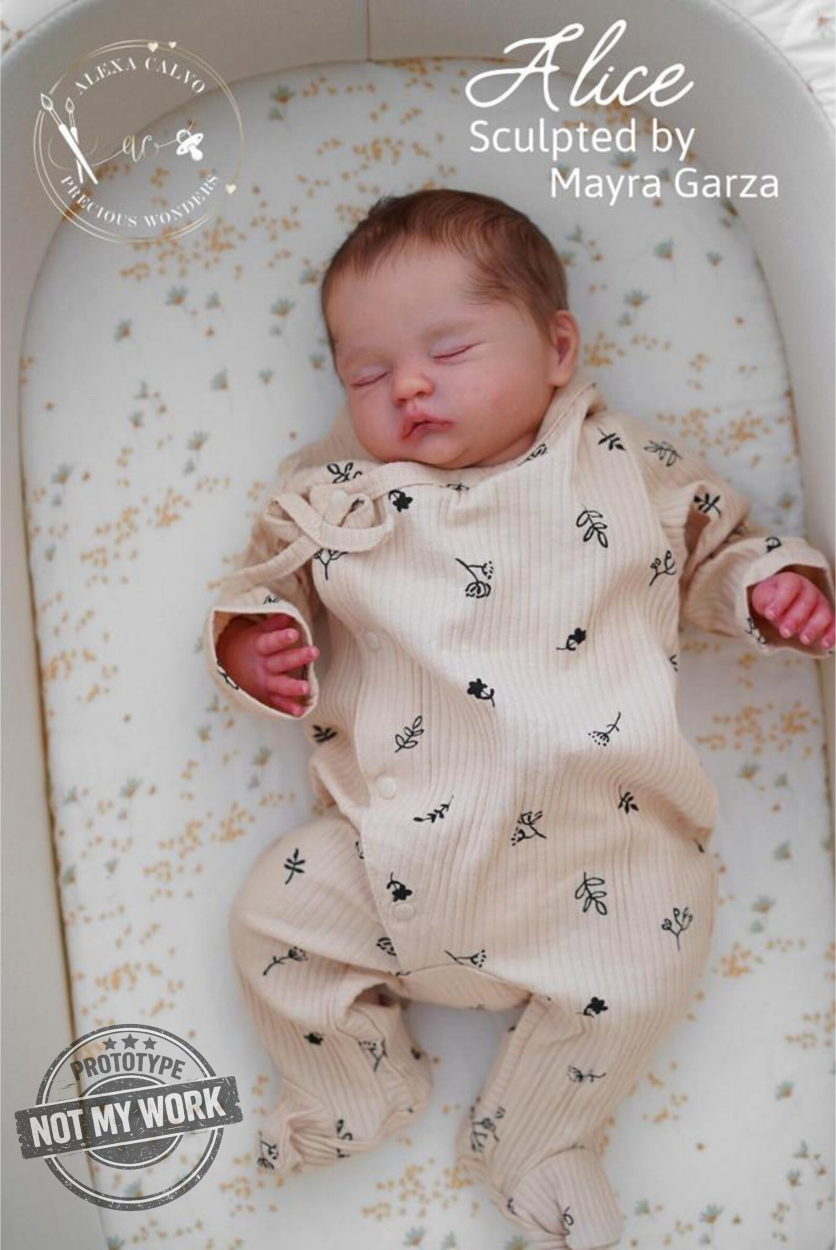 Alice de Mayra Garza - Imagen 5