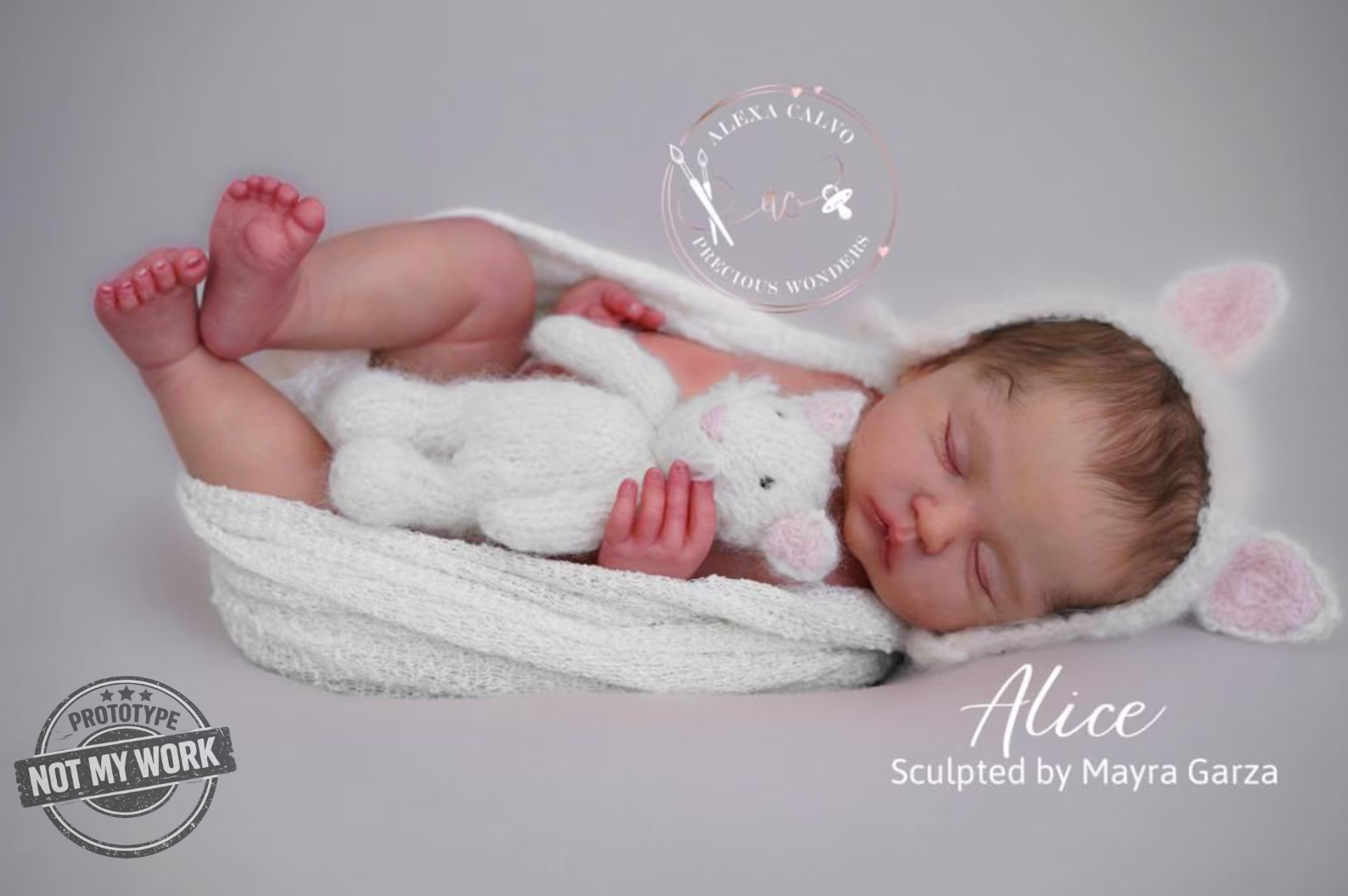 Alice de Mayra Garza - Imagen 3