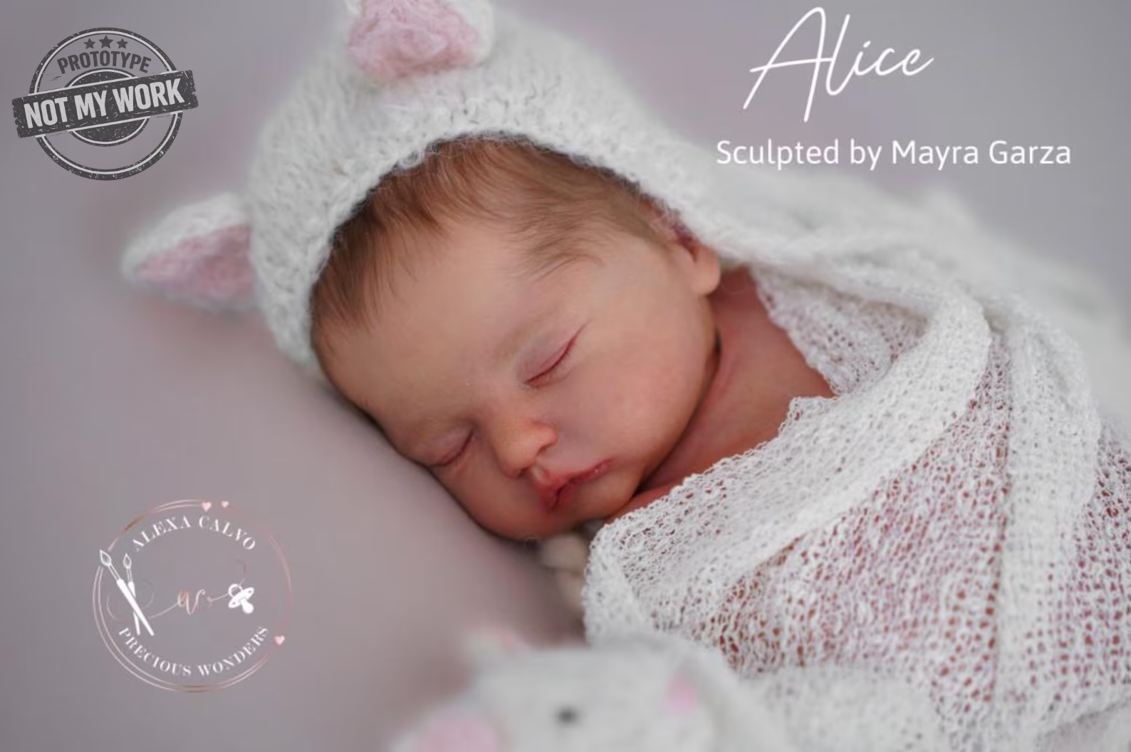 Alice de Mayra Garza - Imagen 2